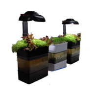 Учебная установка "Аквапоника"  - «globural.ru» - Волгоград