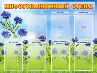 Стенд информационный с 7 карманами - «globural.ru» - Волгоград