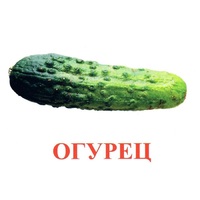 Карточки Домана "Овощи-Зелень-1" - «globural.ru» - Волгоград