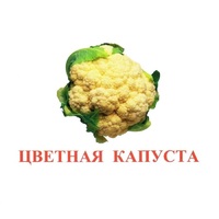 Карточки Домана "Овощи-Зелень-2" - «globural.ru» - Волгоград