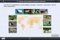 Интерактивные курсы. Биология 7 класс. Расширенный - «globural.ru» - Волгоград