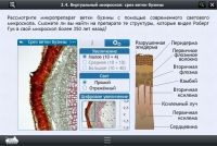 Интерактивные курсы. Биология 5 класс. Базовый  - «globural.ru» - Волгоград