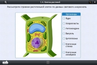Интерактивные курсы. Биология 9 класс. Базовый - «globural.ru» - Волгоград