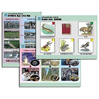 Комплект таблиц для  начальной школы "Окружающий мир. Экология" - «globural.ru» - Волгоград