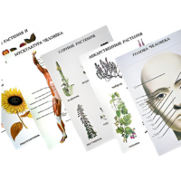 Таблицы по природоведению 1-3 класс - «globural.ru» - Волгоград