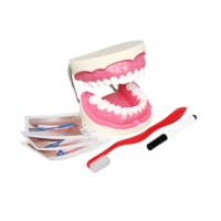 Игровой комплект "Чистим зубы" - «globural.ru» - Волгоград