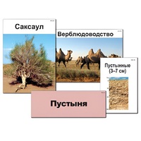 Модель-аппликация "Природные зоны России" - «globural.ru» - Волгоград