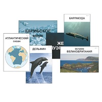 Модель-аппликация "Океаны. Знакомство" (ламинированная) - «globural.ru» - Волгоград