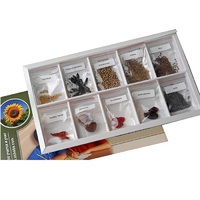 Коллекция "Плоды сельскохозяйственных растений" (вариант 2) - «globural.ru» - Волгоград