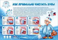 Стенд "Как правильно чистить зубы" - «globural.ru» - Волгоград