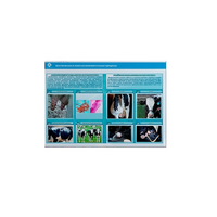 Стенд-планшет светодинамический «Изучение асептических и гнойных воспалительных процессов» - «globural.ru» - Волгоград