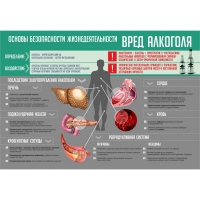 Стенд "Алкоголь" - «globural.ru» - Волгоград
