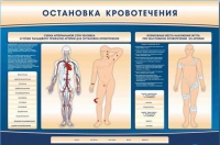 Электрифицированный стенд-тренажер "Остановка кровотечения" - «globural.ru» - Волгоград