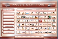 Трехсекционный базовый комплект "Травмы. Кровотечения. Ожоги" для учащихся общеобразовательных учреждений - «globural.ru» - Волгоград