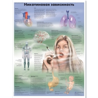 Плакат "Никотиновая зависимость", ламинированный, 50*67 см - «globural.ru» - Волгоград
