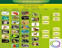 Стенд "Систематика животных" - «globural.ru» - Волгоград