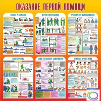 Стенд "Оказание первой помощи" - «globural.ru» - Волгоград