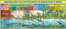 Стенд "Эволюция растительного и животного мира" - «globural.ru» - Волгоград