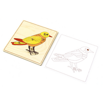 Строение птицы с контуром. - «globural.ru» - Волгоград