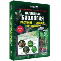 Наглядная биология. Растение - живой организм - «globural.ru» - Волгоград
