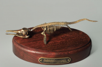 Модель скелета ихтиозавра Ichthyosaurus - «globural.ru» - Волгоград