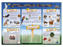 Стенд-уголок "Друзья наши меньшие" - «globural.ru» - Волгоград