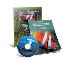 Электронное наглядное пособие «Рыбы. Земноводные. Пресмыкающиеся» - «globural.ru» - Волгоград