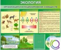 Стенд "Экология. Организация и функционирование сообществ" - «globural.ru» - Волгоград