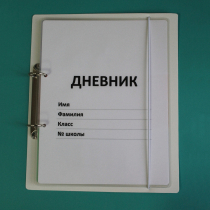 Дневник школьника (с полным набором карточек) - «globural.ru» - Волгоград
