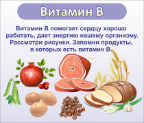 Стенд "Витамин В" - «globural.ru» - Волгоград