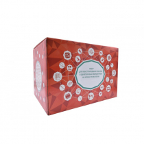 Набор для конструирования роботов с одноплатным компьютером на уроках технологии - «globural.ru» - Волгоград