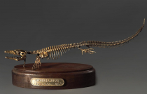 Модель скелета мозазавра Mosasaurus - «globural.ru» - Волгоград