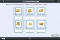 Интерактивные курсы. Биология 8 класс. Расширенный - «globural.ru» - Волгоград