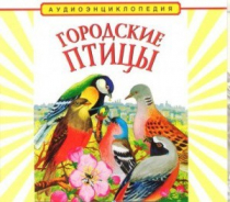 CD "Аудиоэнциклопедия. Городские птицы" - «globural.ru» - Волгоград