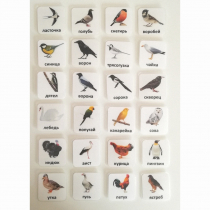 Набор карточек "ПТИЦЫ" - «globural.ru» - Волгоград