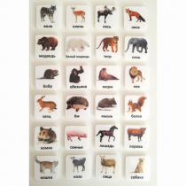 Набор карточек "ЖИВОТНЫЕ" - «globural.ru» - Волгоград