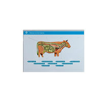 Стенд-планшет светодинамический "Изучение нервной системы сельскохозяйственных животных" со сменными панелями - «globural.ru» - Волгоград