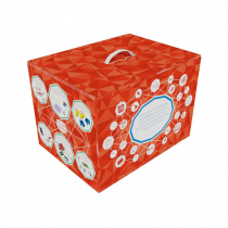 Набор для конструирования программируемых роботов, кибернетических систем и интернета вещей с одноплатным мини-компьютером - «globural.ru» - Волгоград