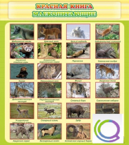 Стенд "Красная книга - млекопитающие" - «globural.ru» - Волгоград