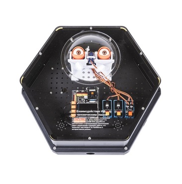 Модуль интерактивный с искусственным интеллектом "Наблюдатель" - «globural.ru» - Волгоград