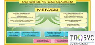 Стенд "Методы селекции и биотехнологии" - «globural.ru» - Волгоград