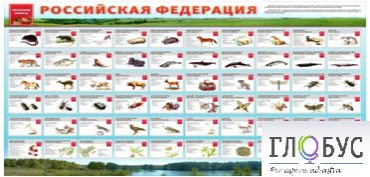 Стенд "Красная книга РФ" - «globural.ru» - Волгоград