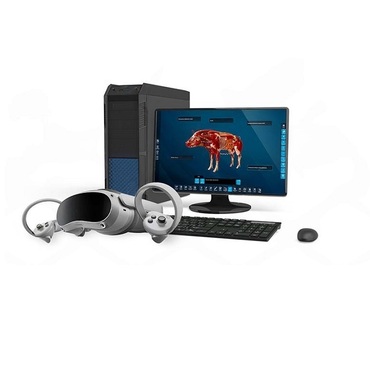 Интерактивный учебный комплекс «Анатомия Свиньи» - «globural.ru» - Волгоград