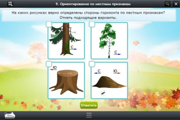 Интерактивные курсы. Окружающий мир 1 класс. Базовый - «globural.ru» - Волгоград