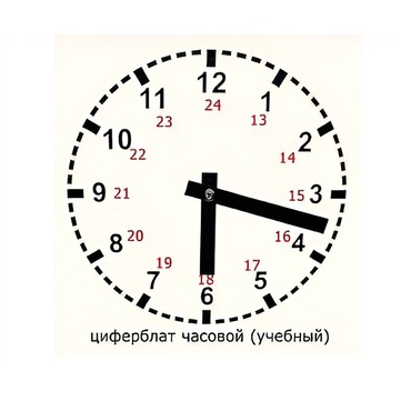 Часовой циферблат раздаточный - «globural.ru» - Волгоград