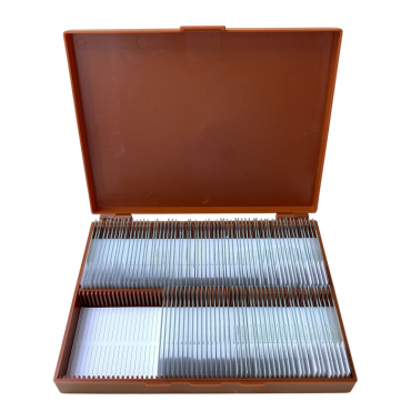 Комплект микропрепаратов по анатомии, ботанике, зоологии, общей биологии - «globural.ru» - Волгоград