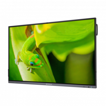 Интерактивный программно-аппаратный комплекс Geckotouch Interactive IP65GT-C в комплекте с настенным креплением - «globural.ru» - Волгоград