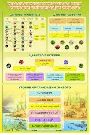 Стенд "Классификация животного мира" - «globural.ru» - Волгоград