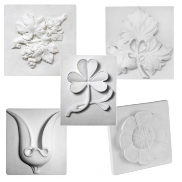 Комплект гипсовых моделей растений  - «globural.ru» - Волгоград